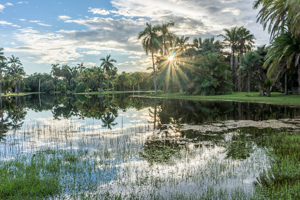 Coral Gables Fairchild Gardens 2015-09-2500087--HDR