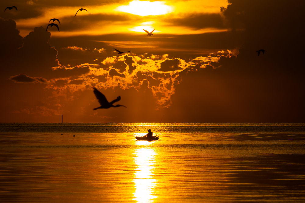 Keys to Soar: the Secrets of&nbsp;Life